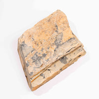 Slaty Shale Record - Earth Love Gallery Collection