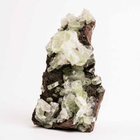 Apophyllite, Green - Cluster