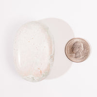 Jasper, Unicorn - Palm, Polished