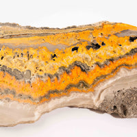 Bumble Bee Jasper - Slab, Large