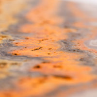 Jasper, Bumble Bee - Slab, Large