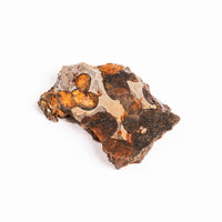 Sericho Pallasite Meteorite - Small