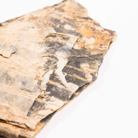 Slaty Shale Record - Earth Love Gallery Collection