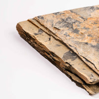 Slaty Shale Record - Earth Love Gallery Collection