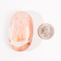 Jasper, Unicorn - Palm, Polished