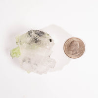 Prehnite w/ Black Quartz - Rough