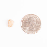 Lunar Meteorite - Bechar 007