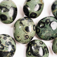 Jasper, Kambaba - Palm Stone(s)