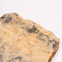 Slaty Shale Record - Earth Love Gallery Collection