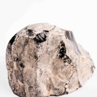 Obsidian, Rainbow - Earth Love Gallery