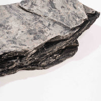 Slaty Shale Record - Earth Love Gallery Collection