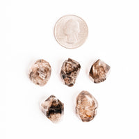 Smoky Elestial Quartz – Light Multi-Faceted Cluster(s)