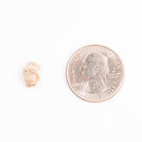 Lunar Meteorite - Bechar 007