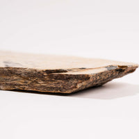 Slaty Shale Record - Earth Love Gallery Collection