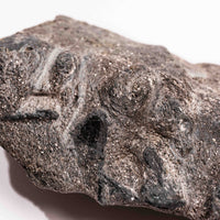 Alexandrite in Mica Schist - Earth Love Gallery Collection