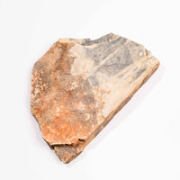 Slaty Shale Record - Earth Love Gallery Collection