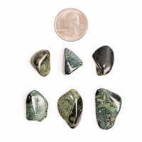 Jasper, Kambaba - Tumbled Stone(s)