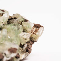 Apophyllite, Green - Cluster