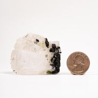 Prehnite w/ Black Quartz - Rough