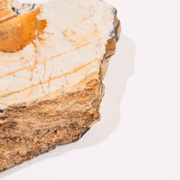 Slaty Shale Record - Earth Love Gallery Collection