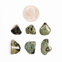 Jasper, Kambaba - Tumbled Stone(s)