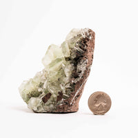 Apophyllite, Green - Cluster