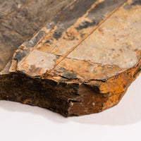 Slaty Shale Record - Earth Love Gallery Collection