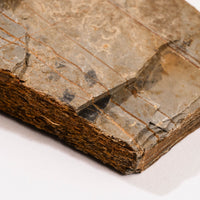 Slaty Shale Record - Earth Love Gallery Collection