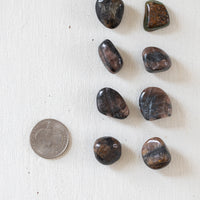 Chiastolite - Tumbled