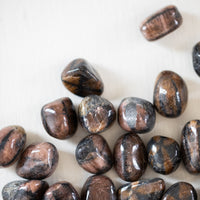 Chiastolite - Tumbled