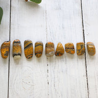 Jasper - Bumble Bee, Tumbled, A-Grade