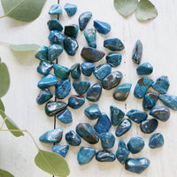 Chrysocolla - Shattuckite, Tumbled Stone(s)