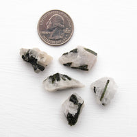 Tourmaline, Green in Quartz - Rough, Medium Color