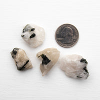 Tourmaline, Green in Quartz - Rough, Medium Color