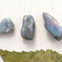 Labradorite - Tumbled