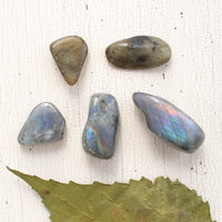 Labradorite - Tumbled