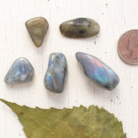 Labradorite - Tumbled