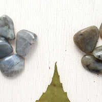 Labradorite - Tumbled