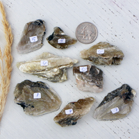 Mica - Yellow with some Black Tourmaline