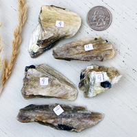 Mica - Yellow with some Black Tourmaline