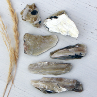 Mica - Yellow with some Black Tourmaline