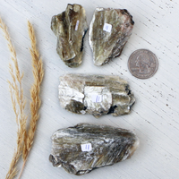 Mica - Yellow with some Black Tourmaline