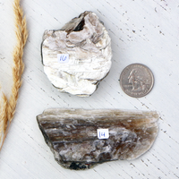 Mica - Yellow with some Black Tourmaline