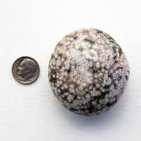 Jasper- Ocean, Mixed Medium Color, Orbicular- Palm Stone,