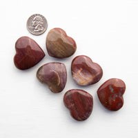 Petrified Wood - Heart, Polished