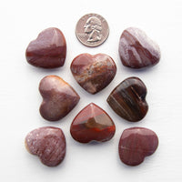 Petrified Wood - Heart, Polished