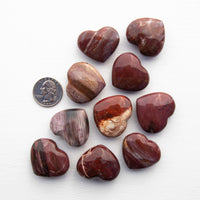 Petrified Wood - Heart, Polished