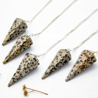 Jasper, Dalmatian - Pendulum