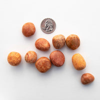 Jasper, Sedona Red - Tumbled