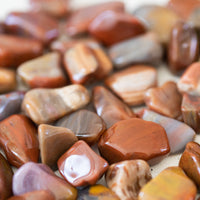 Petrified Wood - Tumbled Stone(s)